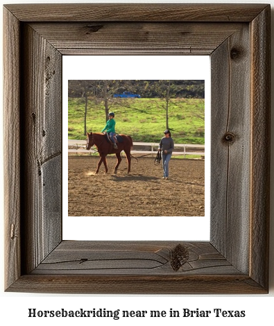 horseback riding near me in Briar, Texas